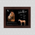 Load image into Gallery viewer, Woodburn Owner Photo
