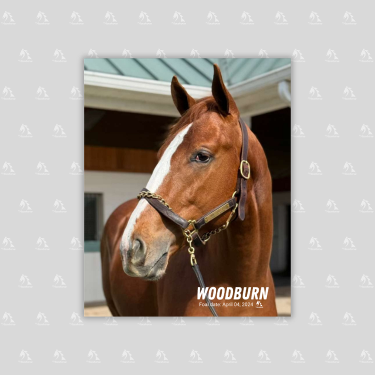 Woodburn Portrait Photo