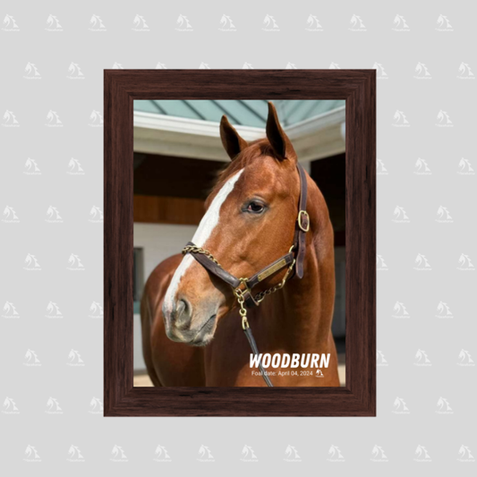 Woodburn Portrait Photo