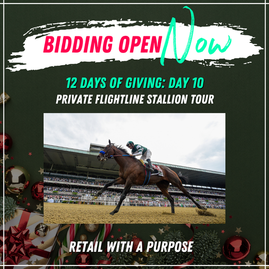 Santa Anita Derby Experience