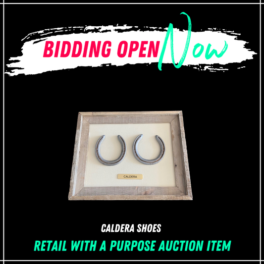 Framed Caldera Shoes