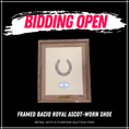 Load image into Gallery viewer, Framed Bacio Royal Ascot-Worn Shoe
