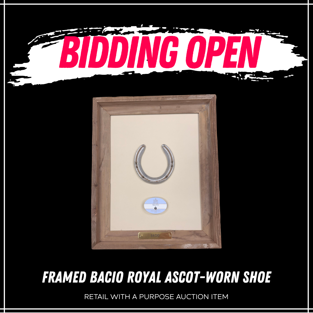 Framed Bacio Royal Ascot-Worn Shoe