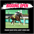 Load image into Gallery viewer, Framed Bacio Royal Ascot-Worn Shoe
