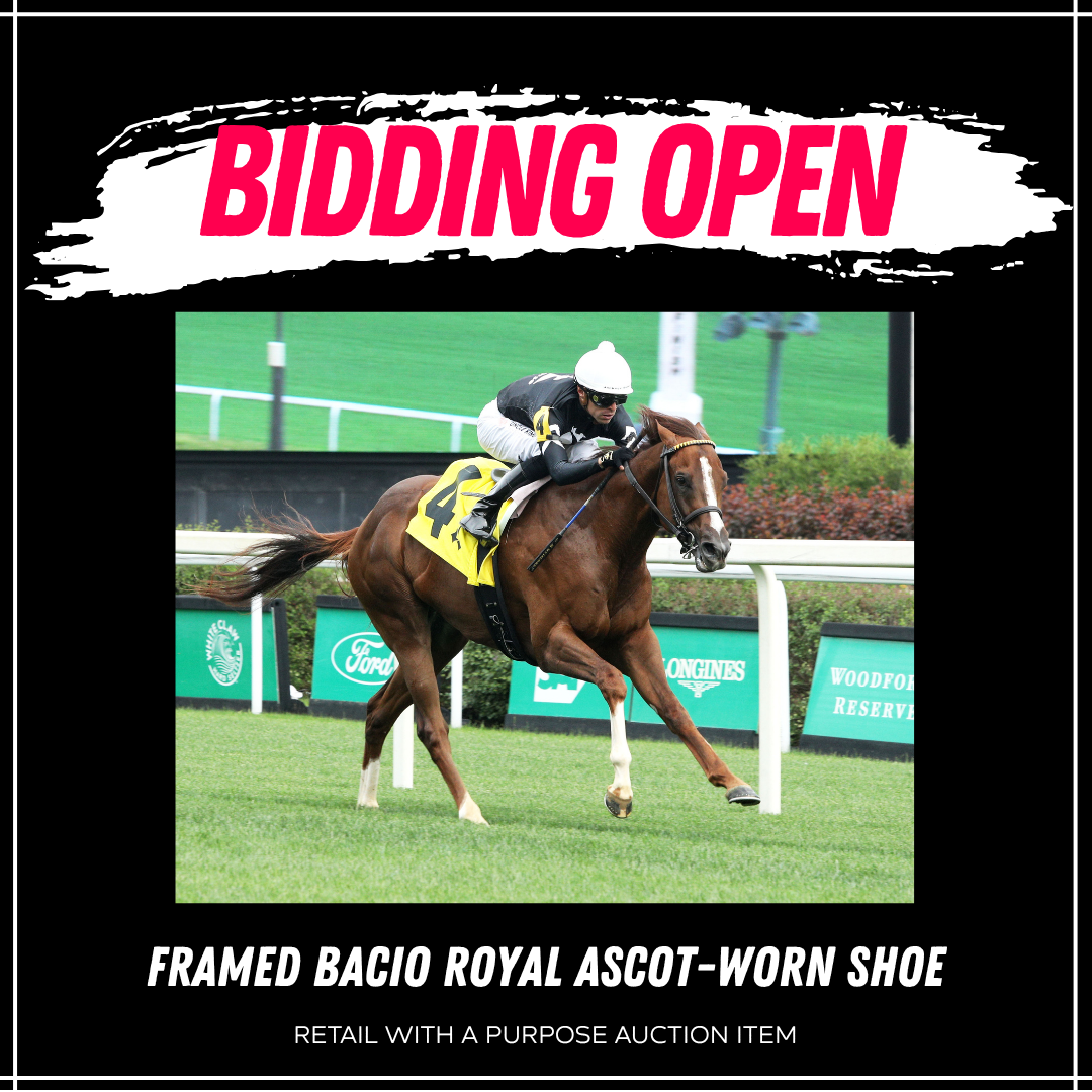 Framed Bacio Royal Ascot-Worn Shoe