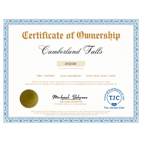 Cumberland Falls Certificate of Ownership
