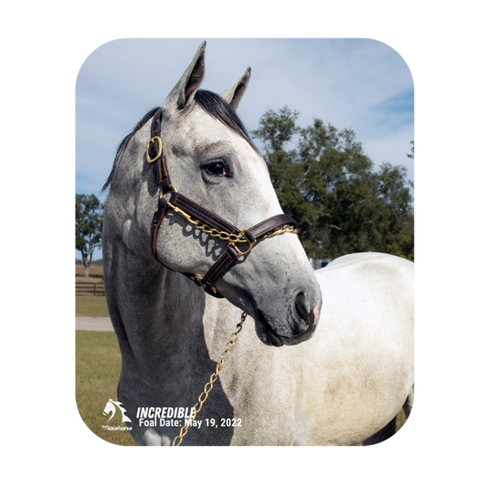 Incredible Mouse Pad