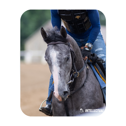 Intellectual Mouse Pad