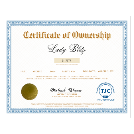 Lady Blitz Certificate of Ownership