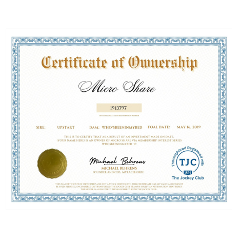 Micro Share Certificate of Ownership