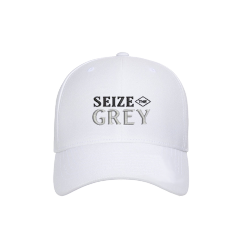 Seize the Grey Velocity Performance Hat