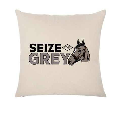 Seize the Grey Throw Pillow Case