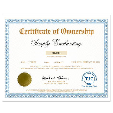 Simply Enchanting Certificate of Ownership