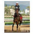 Load image into Gallery viewer, Straight No Chaser Palos Verde Stakes 2
