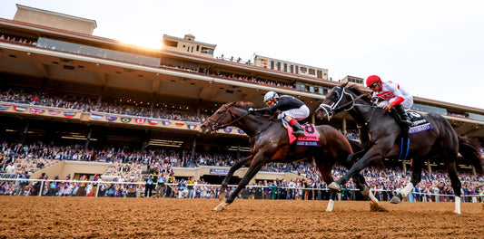 Straight No Chaser Breeders' Cup Dirt Sprint Champion - 8 x 12 Photo