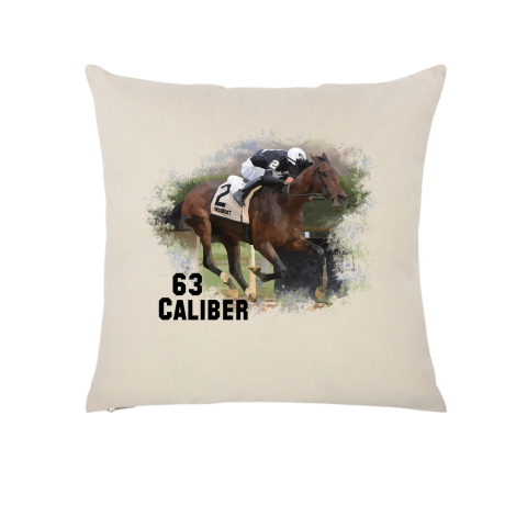 Sixtythreecaliber Throw Pillow Case