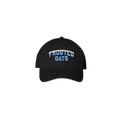 Load image into Gallery viewer, Frosted Oats Velocity Perfomance Hat
