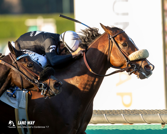 Lane Way Win - Santa Anita