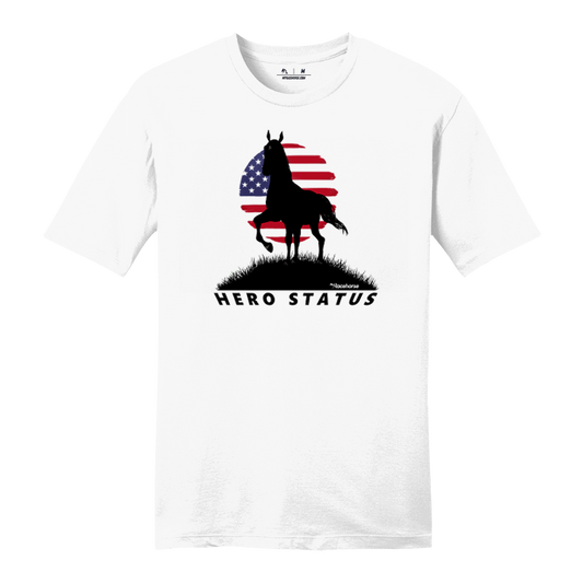Hero Status Men's Graphic T Shirt