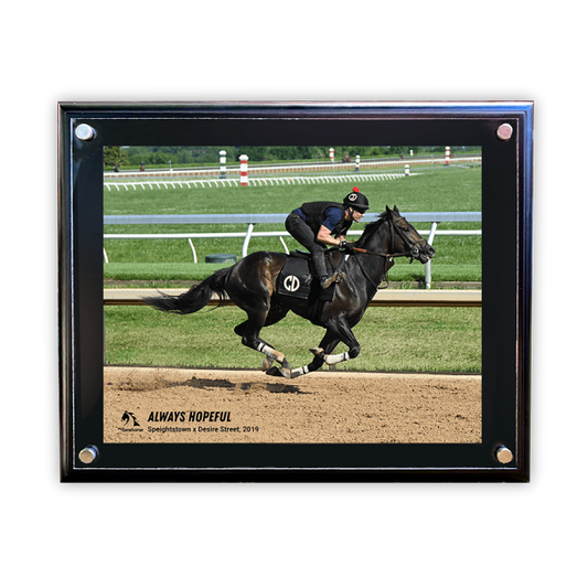 Always Hopeful Photo - Action Shot