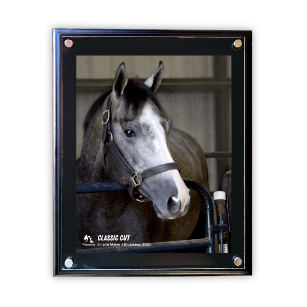 Classic Cut Photo - Barn Portrait