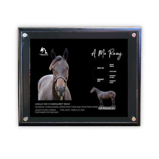 A Mo Reay Owner Photo