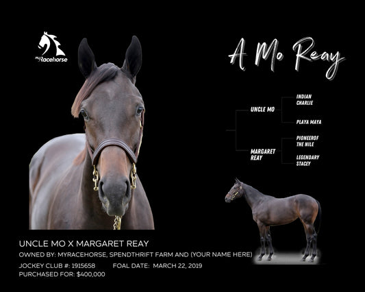 A Mo Reay Owner Photo