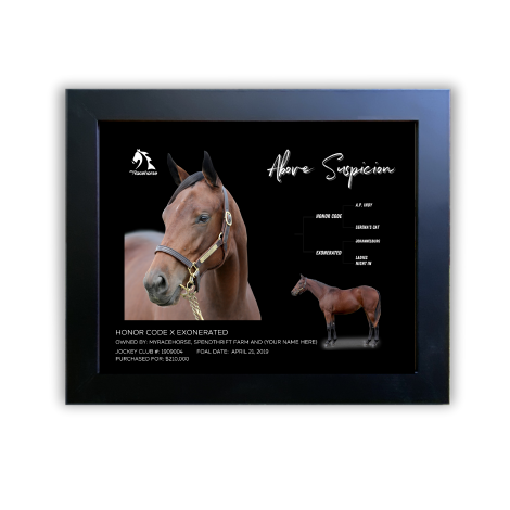 Above Suspicion Owner Photo