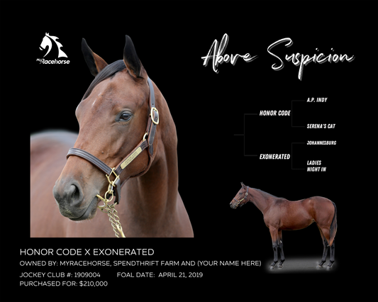 Above Suspicion Owner Photo