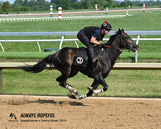 Always Hopeful Photo - Action Shot