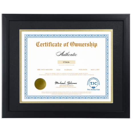 Authentic Certificate of Ownership