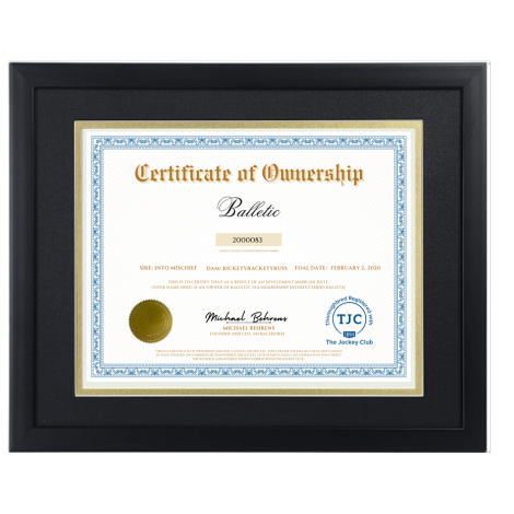 Balletic Certificate of Ownership