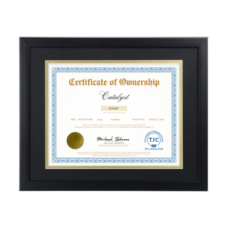 Catalyst Certificate of Ownership