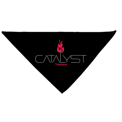 Catalyst Dog Bandana