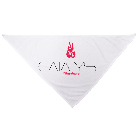 Catalyst Dog Bandana
