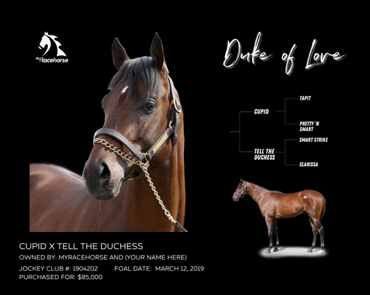 Duke of Love Owner Photo