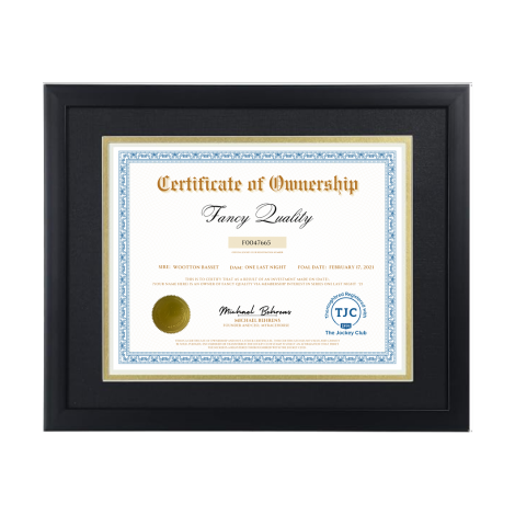 Fancy Quality Certificate of Ownership