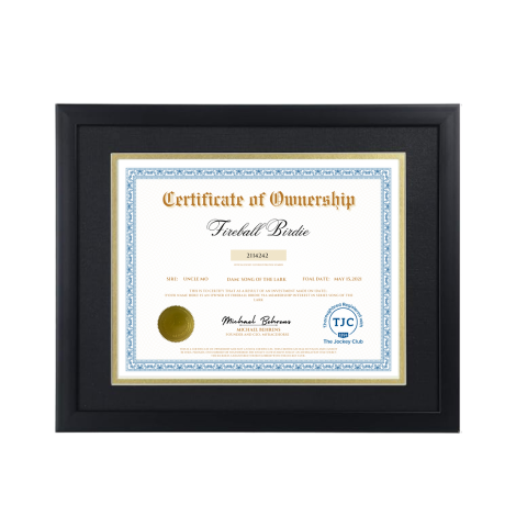 Fireball Birdie Certificate of Ownership