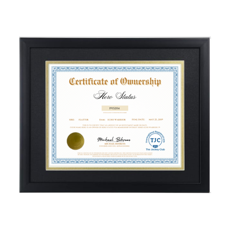 Hero Status Certificate of Ownership
