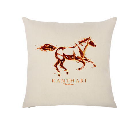 Kanthari Throw Pillow Case