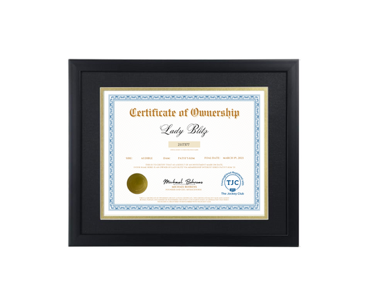Lady Blitz Certificate of Ownership