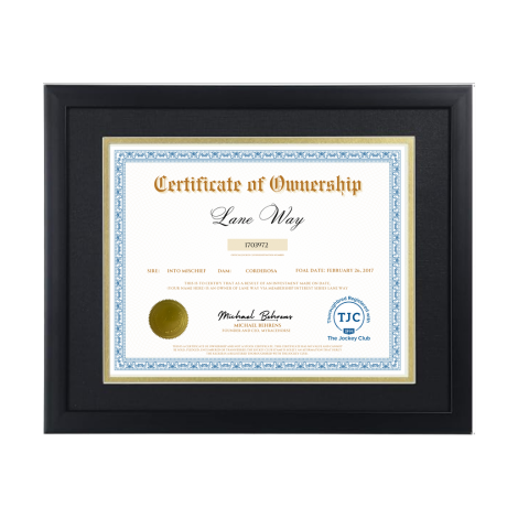 Lane Way Certificate of Ownership