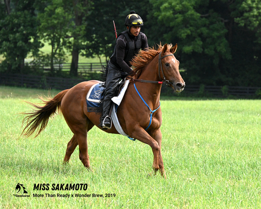 Miss Sakamoto Photo - Candid Snapshot