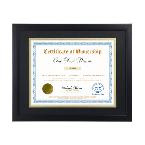 One Fast Dream Certificate of Ownership