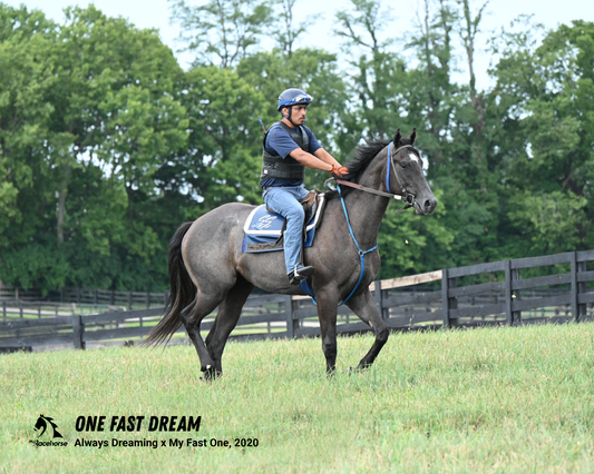 One Fast Dream Photo - Candid Snapshot