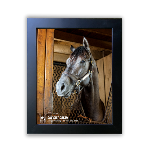 One Fast Dream Photo - Portrait