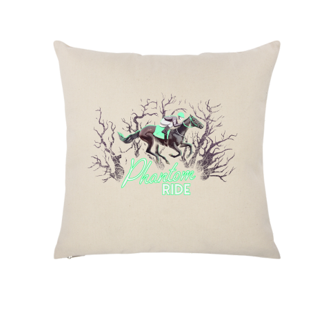 Phantom Ride Throw Pillow Case