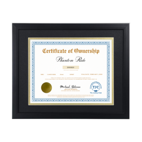 Phantom Ride Certificate of Ownership