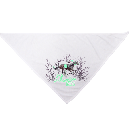 Phantom Ride Dog Bandana