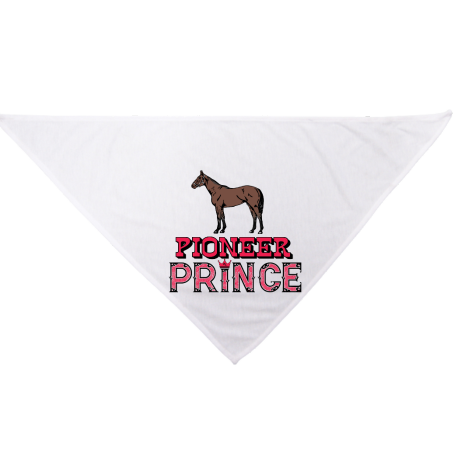 Pioneer Prince Dog Bandana